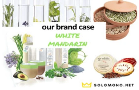 Case: creating an online store of cosmetics White Mandarin